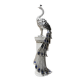 Royale Peacock Silver