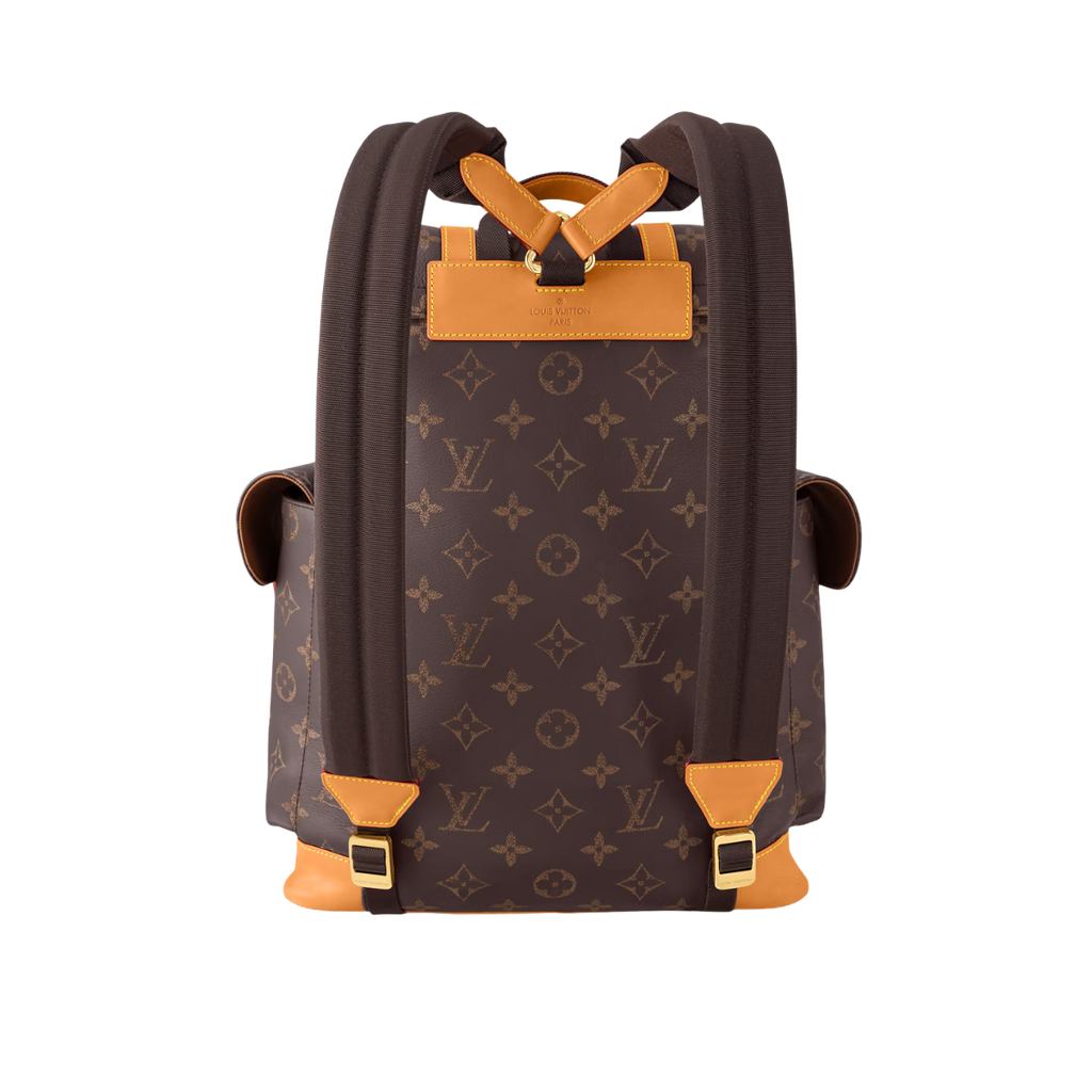 LV Christopher Backpack Brown