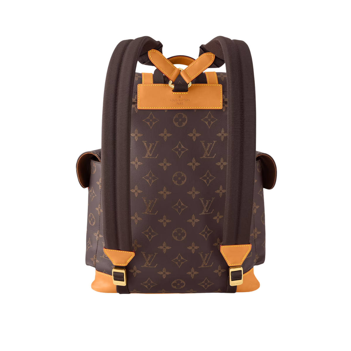 LV Christopher Backpack Brown